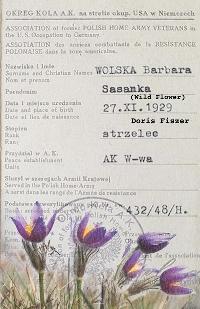 Sasanka (Wild Flower)